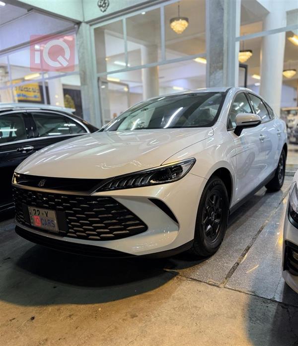 بي واي دي Qin Plus 2025 للبيع في العراق -  بغداد